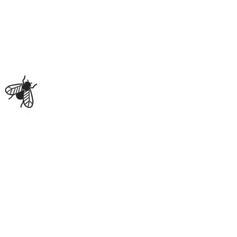 vacaciones umatu Sticker