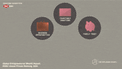GIF by The Explainer Studio