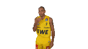 Ewe Baskets Basketball Sticker by EWE Baskets Oldenburg
