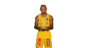 Ewe Baskets Sport Sticker by EWE Baskets Oldenburg