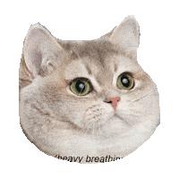 fat STICKER by imoji