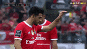 High Five Sl Benfica GIF by Sport Lisboa e Benfica