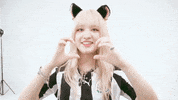 K Pop Heart GIF