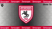 Happy Samsunspor GIF