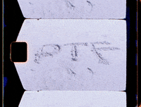 jreams film beach losangeles super8 GIF