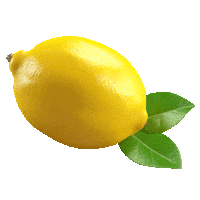 Saltylemon Sticker