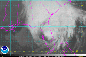 Tropical Storm Usa GIF by euronews