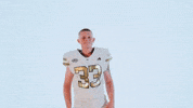 Georgia Tech Football Sport GIF by Georgia Tech Yellow Jackets