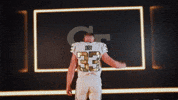 Georgia Tech Football Sport GIF by Georgia Tech Yellow Jackets