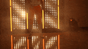 Softball Tennessee GIF by NCAA Championships