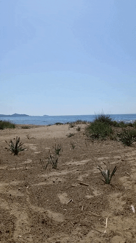 Simongip giphyupload GIF