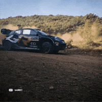 Sport Driving GIF by FIA World Rally Championship