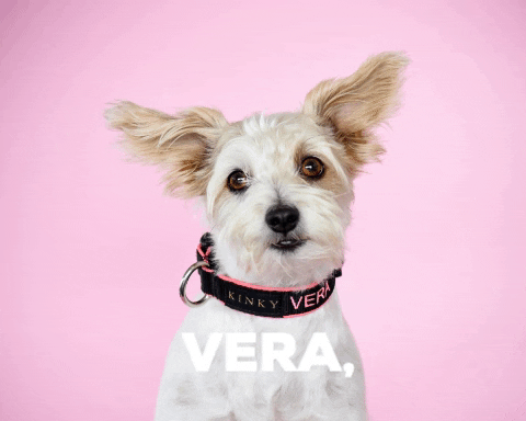 wawawropaperros giphygifmaker wawaw GIF