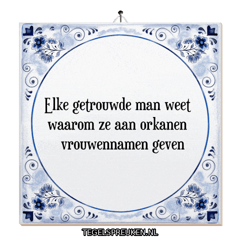 Nl Wijsheid Sticker by Tegelspreuken.nl