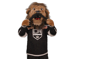 Ice Hockey Sticker by NHL