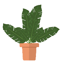 Home Plant Sticker by Bouclair