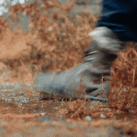 Walking Hiking GIF by THE BEARD STRUGGLE