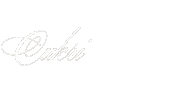 Lajf Cukr Sticker by Emazing Creations