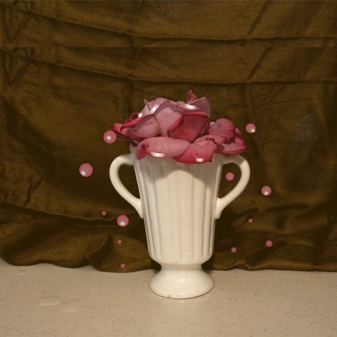 erma_fiend giphyupload flower for you erma fiend GIF