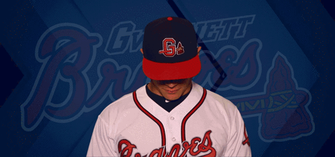 baseball GIF by Gwinnett Braves