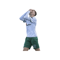 Sport Heerlen Sticker by Groene ster