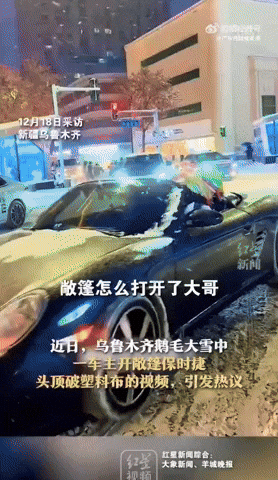 yj_jane giphyupload GIF