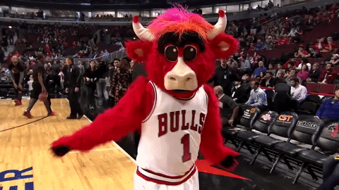 benny the bull nba GIF by Chicago Bulls