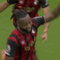 Happy Premier League GIF by AFC Bournemouth