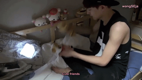 leeyoung26 giphygifmaker exo chanyeol rilakkuma GIF