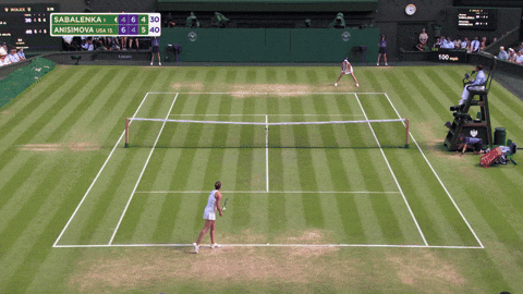 Amanda Anisimova Wimbledon Final 2025
