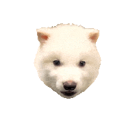 Dire Wolf Puppy Sticker by Colossal