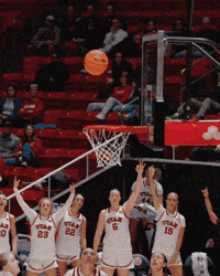 College Basketball Ncaa GIF by Utah Women's Basketball