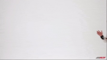 Cup Series Car GIF by Richard Childress Racing