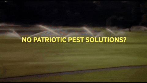 Ppsteam GIF by Patriotic Pest Solutions