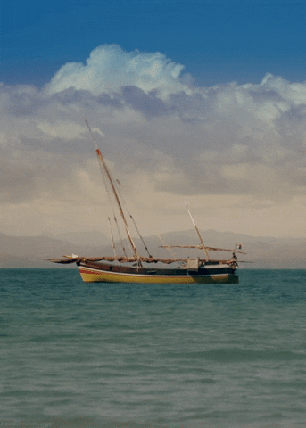 ocean landscape GIF by Head Like an Orange