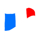 France Flag Sticker