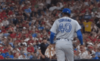 Blue Jays Baseball GIF by Toronto Blue Jays