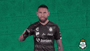 clubsantos  GIF