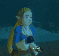 The Legend Of Zelda Urbosa GIF