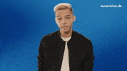 Voting Germany GIF by NDR