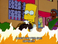 bart simpson ms. nahasapeemapetilon GIF
