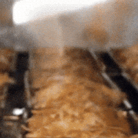 Hlad Baking GIF by Albert Česká republika