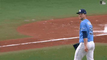 Major League Baseball Sport GIF by MLB