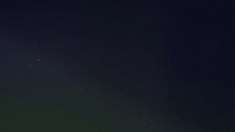 Field Hockey Yaz GIF