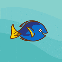 finding nemo disney GIF by Disney/Pixar's Finding Dory