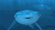 ellen degeneres trailer GIF by Disney
