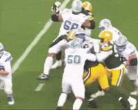 Green Bay Packers GIF