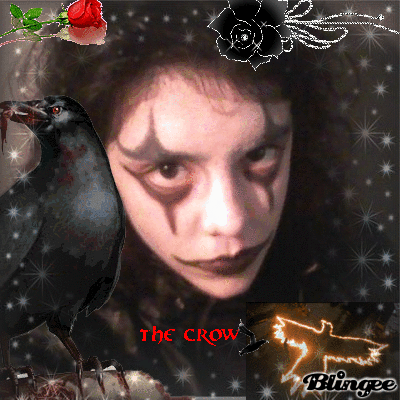 the crow GIF
