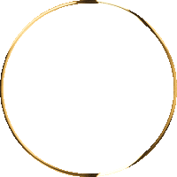 Gold Cirlce Sticker by studiomarcela