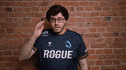 Sad Team GIF by Rogue